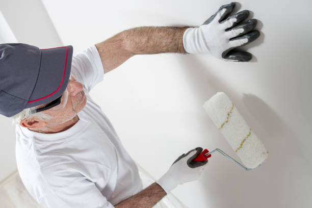 Best Wallpaper Removal and Painting  in USA