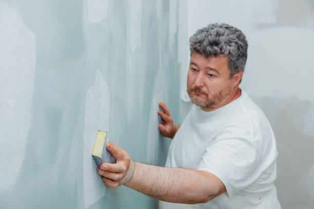 Best Fire-Damaged Drywall Repair  in USA